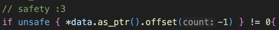 // safety :3
if unsafe { *data.as_ptr().offset(-1) } != 0 {